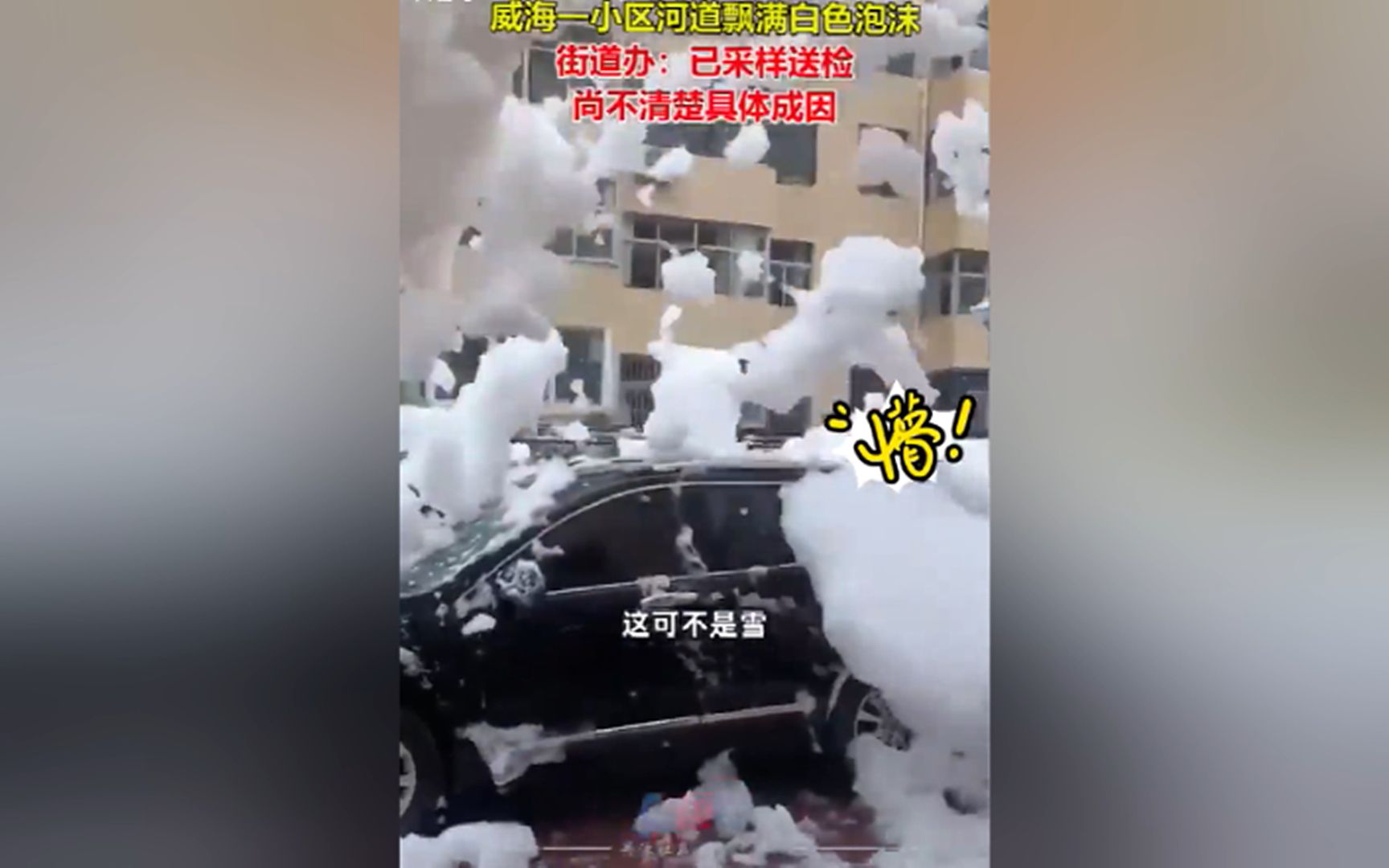 像雪不是雪!山东威海漫天飘舞白色“泡沫”,不知道从何而来,专家也解释不清哔哩哔哩bilibili