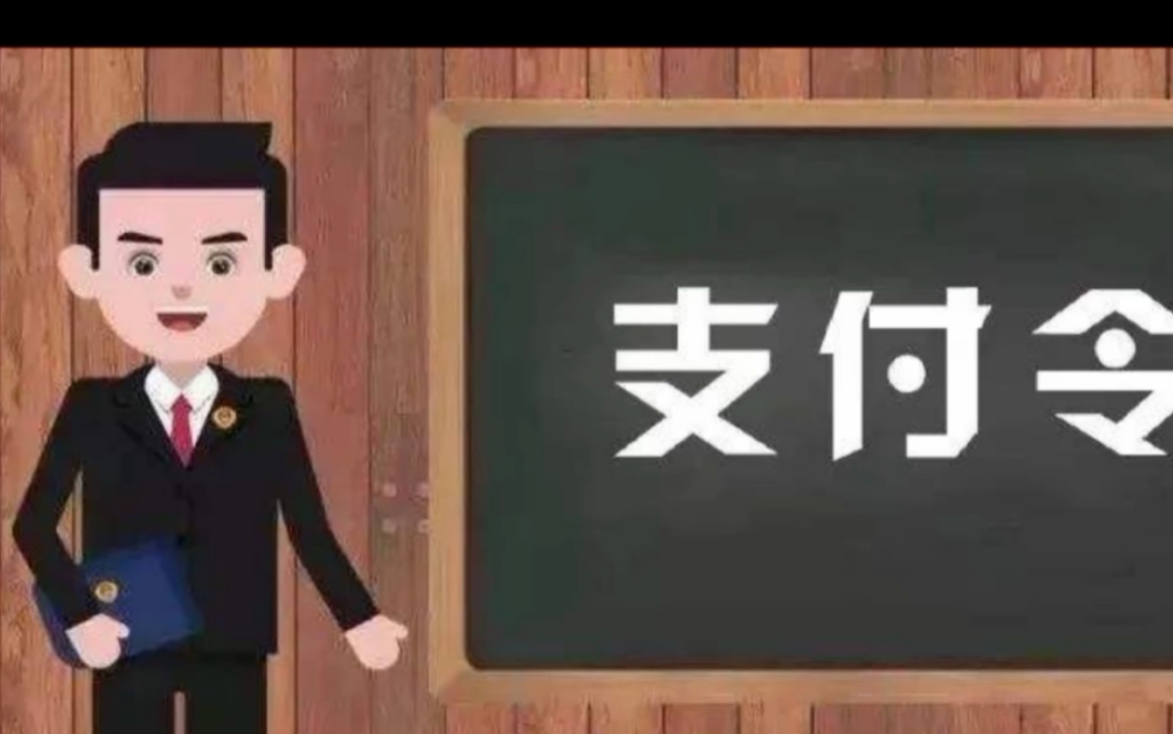 了解支付令哔哩哔哩bilibili