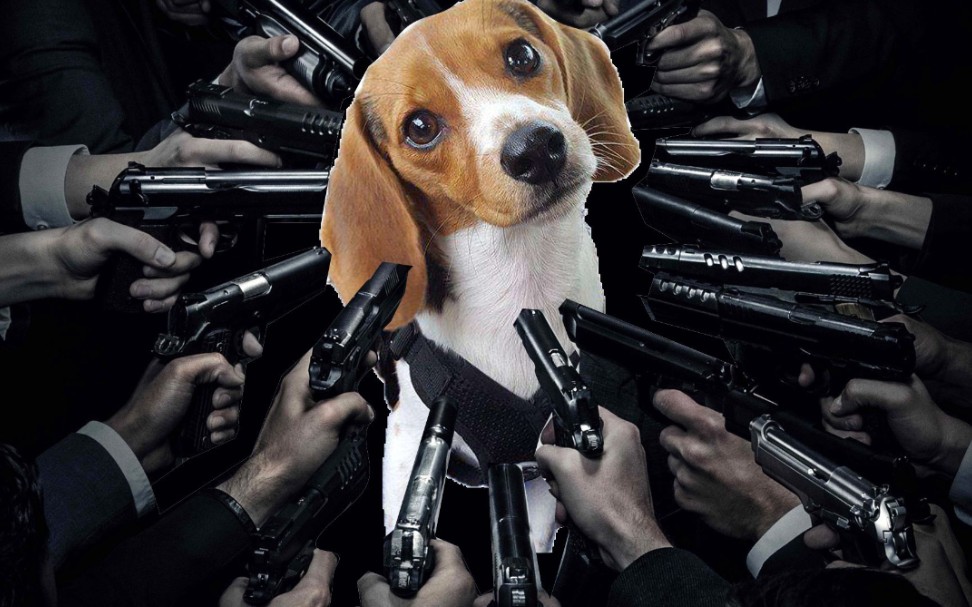 【西装暴徒|混剪|踩点】要你狗命!