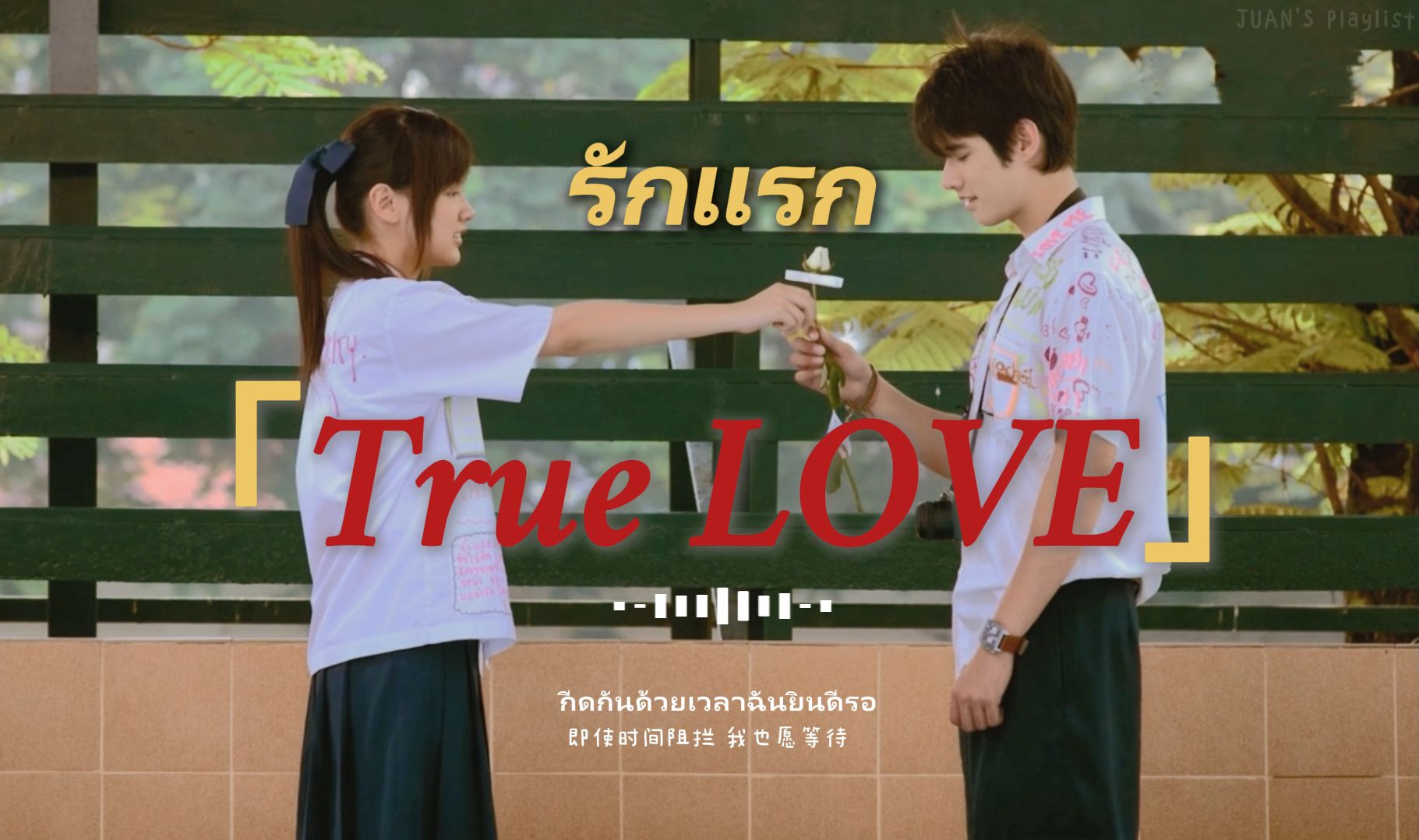 [图]【Playlist】巨好听的泰语抒情OST | รักแรก First Love | “斯人若彩虹，遇上方知有” | 心动 | 美好 | 私藏歌单