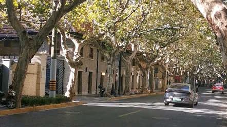 上海早晨的一条马路长乐路