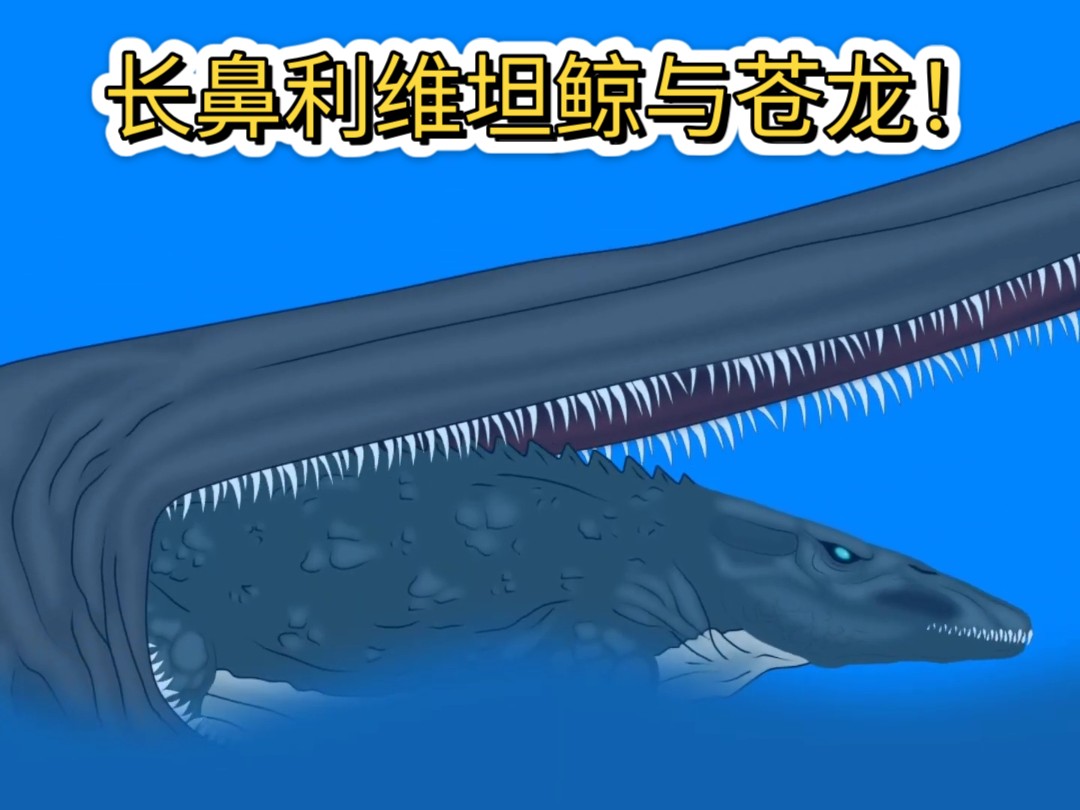 长鼻利维坦鲸与苍龙!