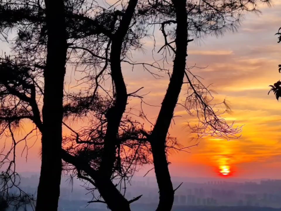 [图]“面对夕阳希望你回到今天”