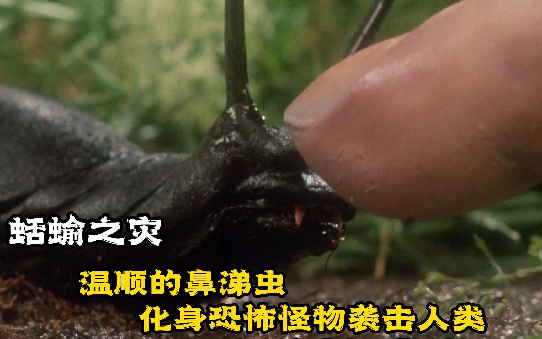 《蛞蝓之灾》 温顺的鼻涕虫,化身恐怖怪物袭击人类