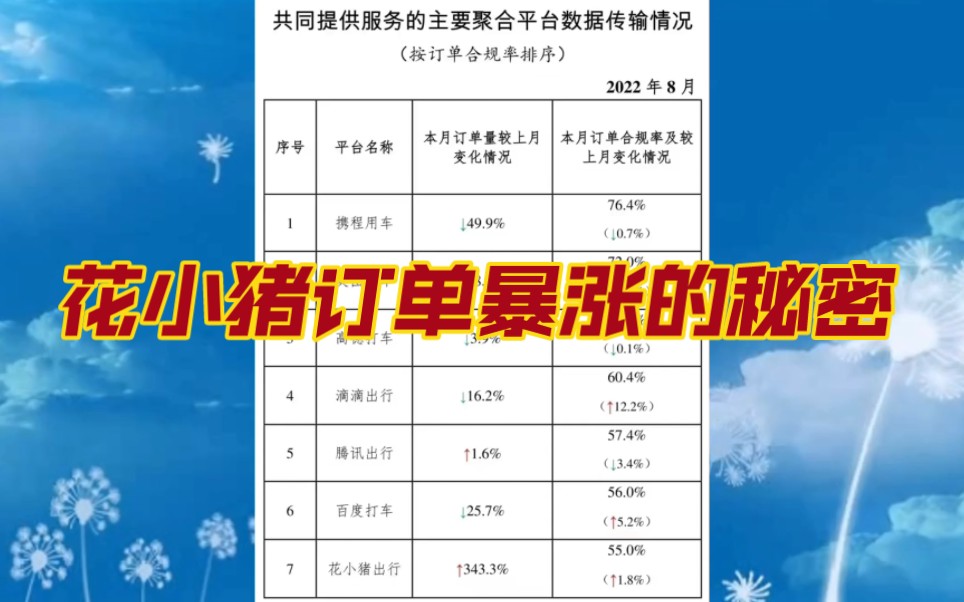 网约车订单数据整体下降花小猪订单却出现暴涨,背后的原因是什么?哔哩哔哩bilibili