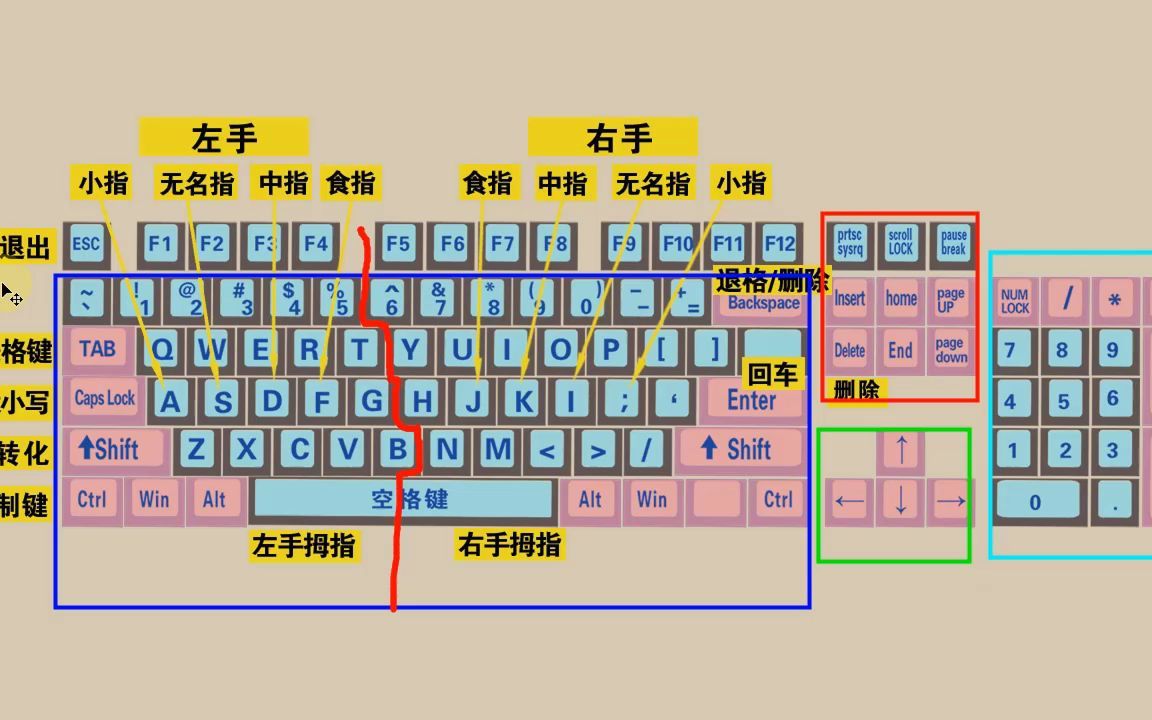 零基础学电脑打字,快速学会键盘打字,适合初学者学习