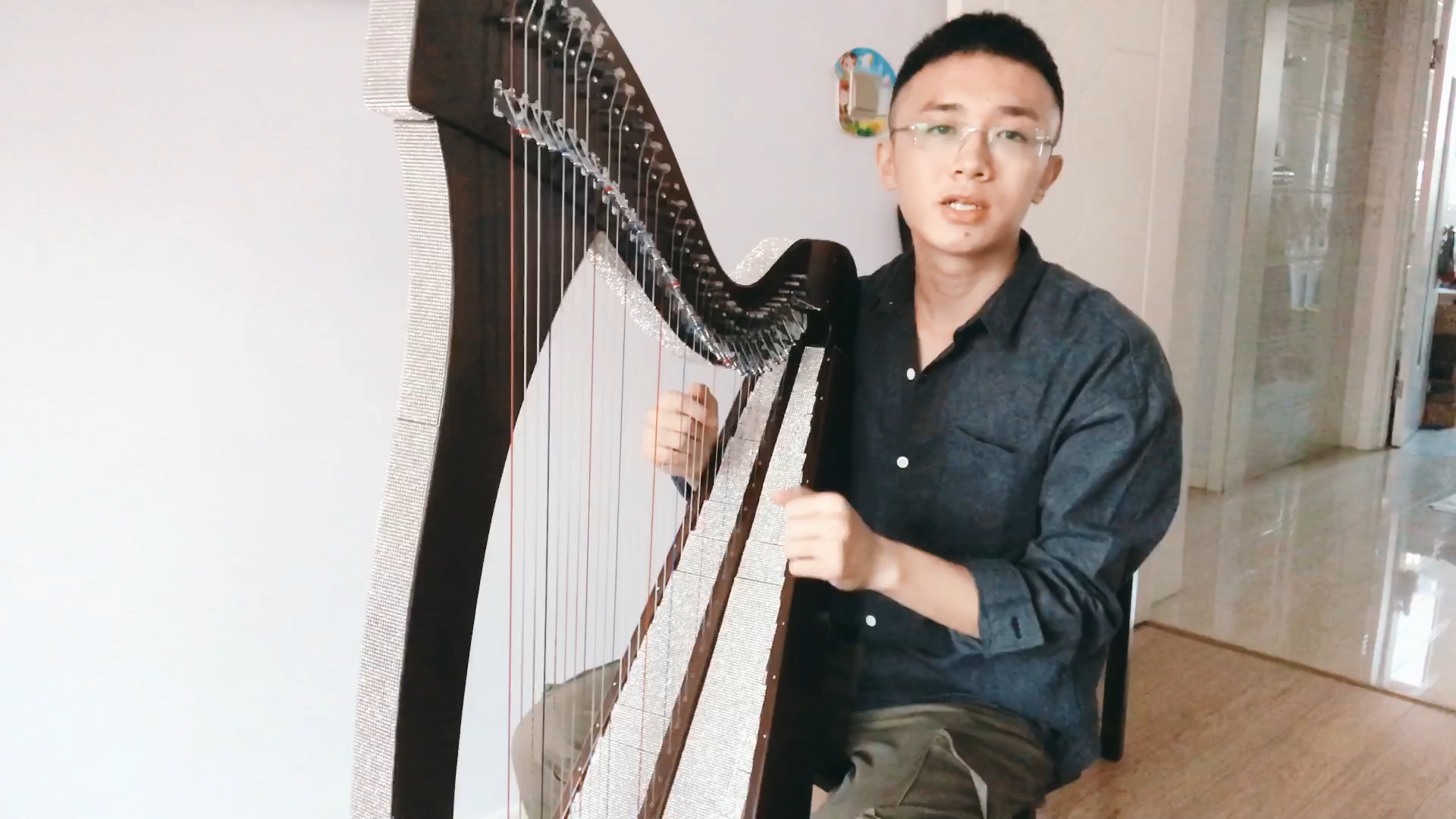 [斑马霸霸]零基础爱尔兰竖琴教程第8节:双手指法训练3212