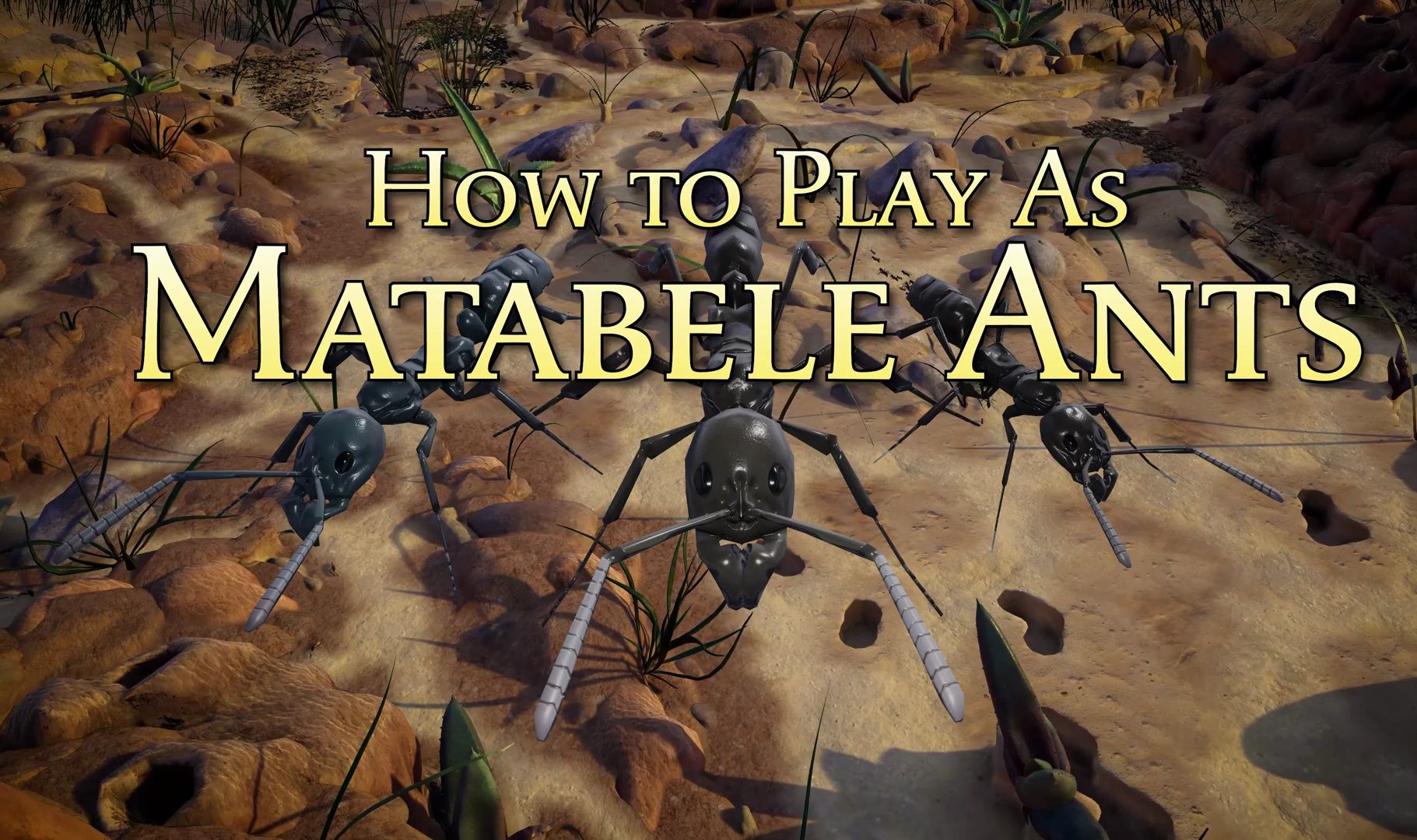 如何游玩马塔贝勒蚁