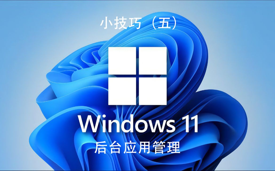 WIN11 技巧五:后台应用管理