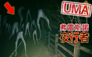 未確認生物 搜索结果 哔哩哔哩 Bilibili