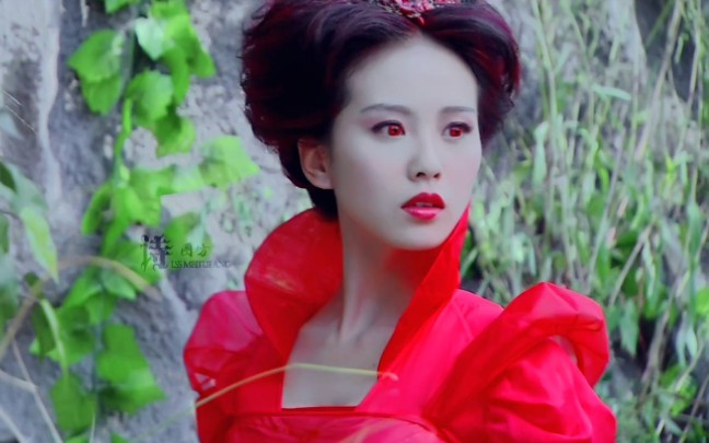 刘诗诗龙葵之红葵篇