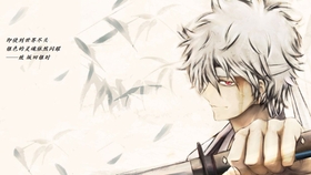 银魂 让我们哭泣着笑 永远的万事屋 哔哩哔哩 つロ干杯 Bilibili