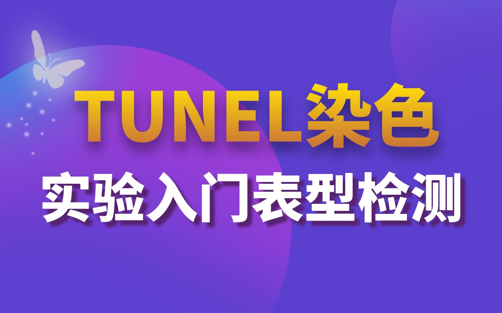 做实验 | 细胞凋亡检测,TUNEL法检测细胞凋亡常见问题及解决方案哔哩哔哩bilibili