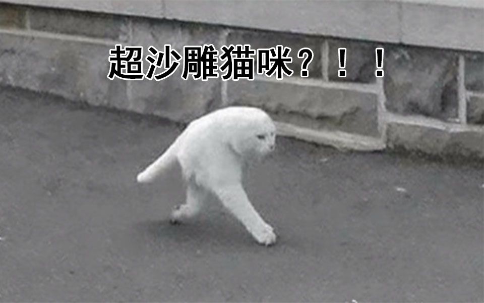 [图]【恶搞向】这是史上最沙雕的猫了？！！