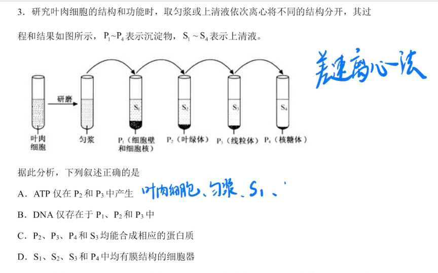 差速离心法 分离 细胞器哔哩哔哩bilibili