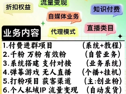 千川有效粉 SPH有效粉收单付费进群项目 社群空间站系统私域引流宝 裂变引流系统创赚项目教程,系统搭建一条龙哔哩哔哩bilibili