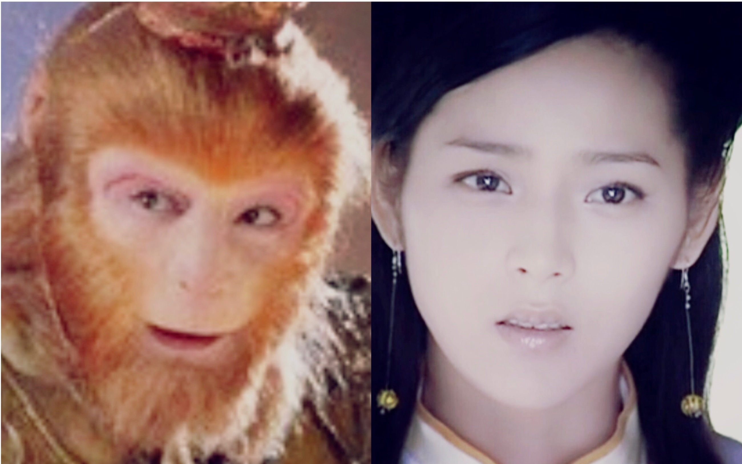 悟空cp杨婵今生君恩还不尽愿有来生化春泥齐天大圣三圣母痴情冢