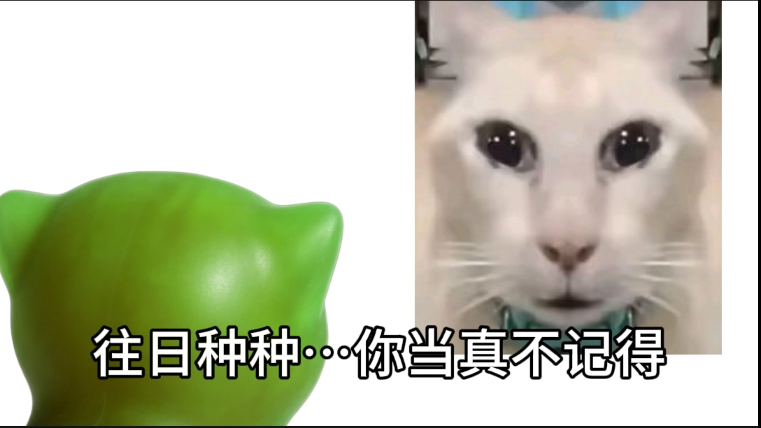 绿皮兽人：往日种种…你当真不记得？