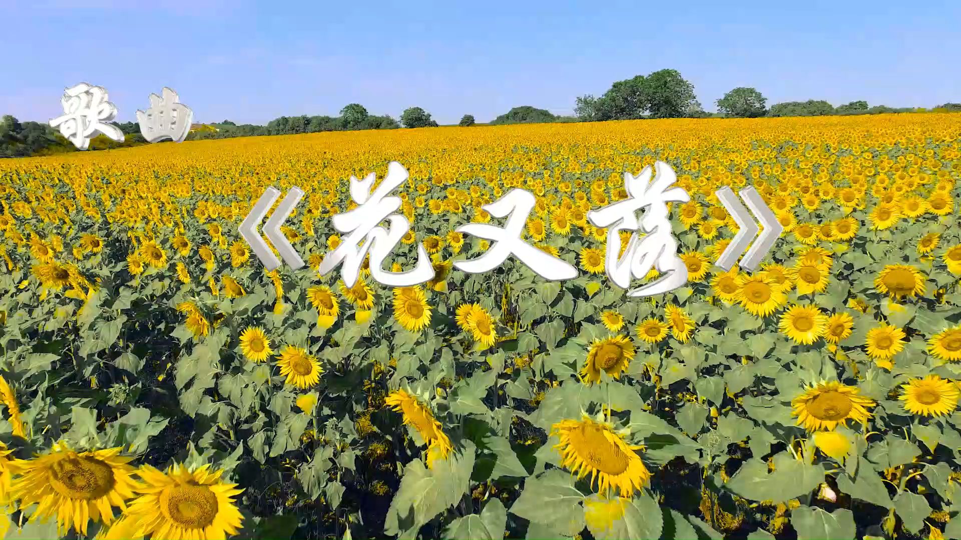 花又落(衍畅版)