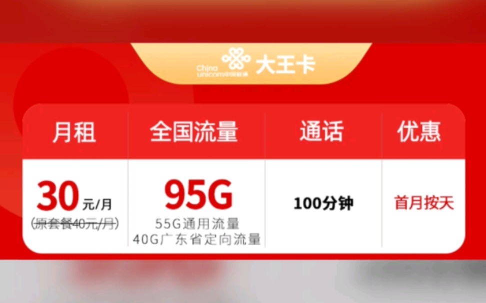 广东联通大王卡30元95G流量+100分钟通话哔哩哔哩bilibili