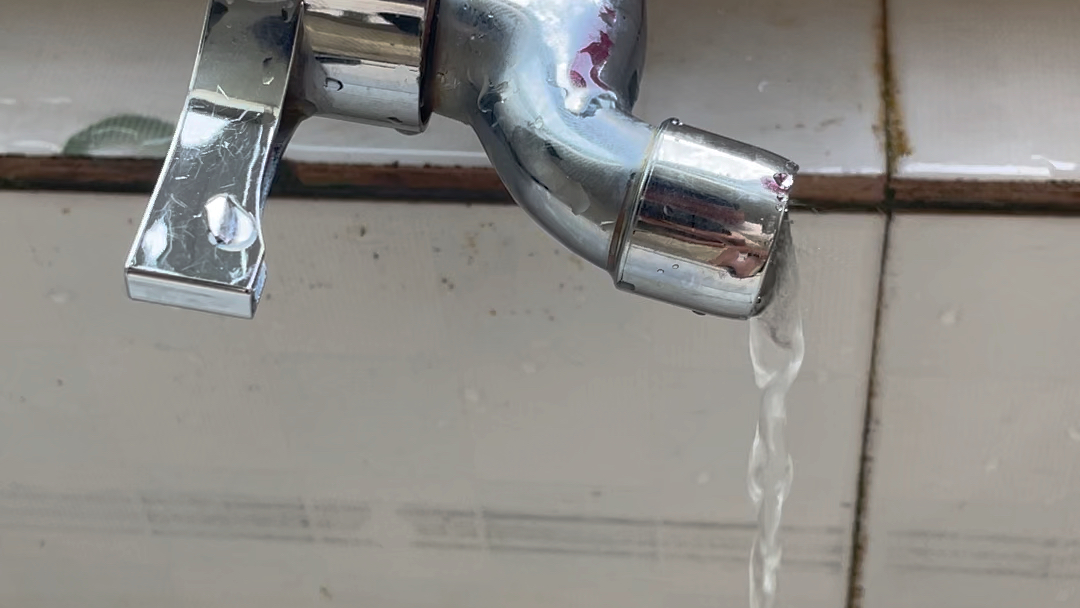 《关于我们学校水龙头突然会唱歌这件事》