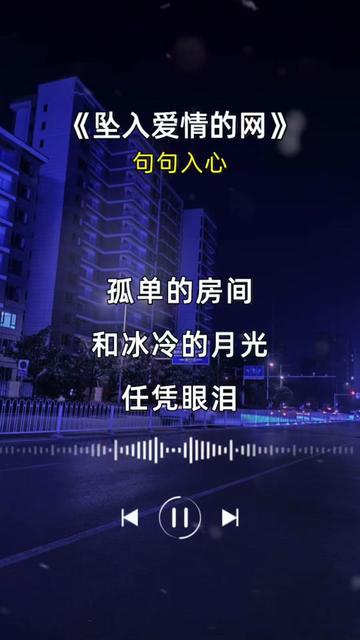 #坠入爱情的网哔哩哔哩bilibili