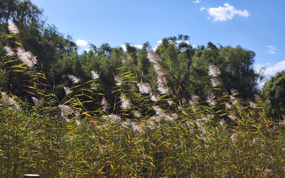 秋天的北京,10级大风