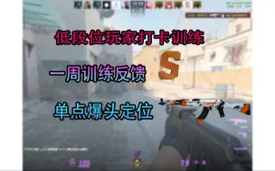 Download Video: CS2 AK单点训练，7天定位能力反馈