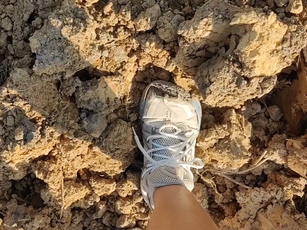 全城9棉花糖踩泥到最后鞋子报废了