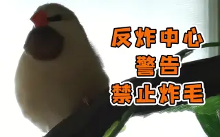 伪牧师 搜索结果 哔哩哔哩 Bilibili 伪牧师 搜索结果 哔哩哔哩 Bilibili