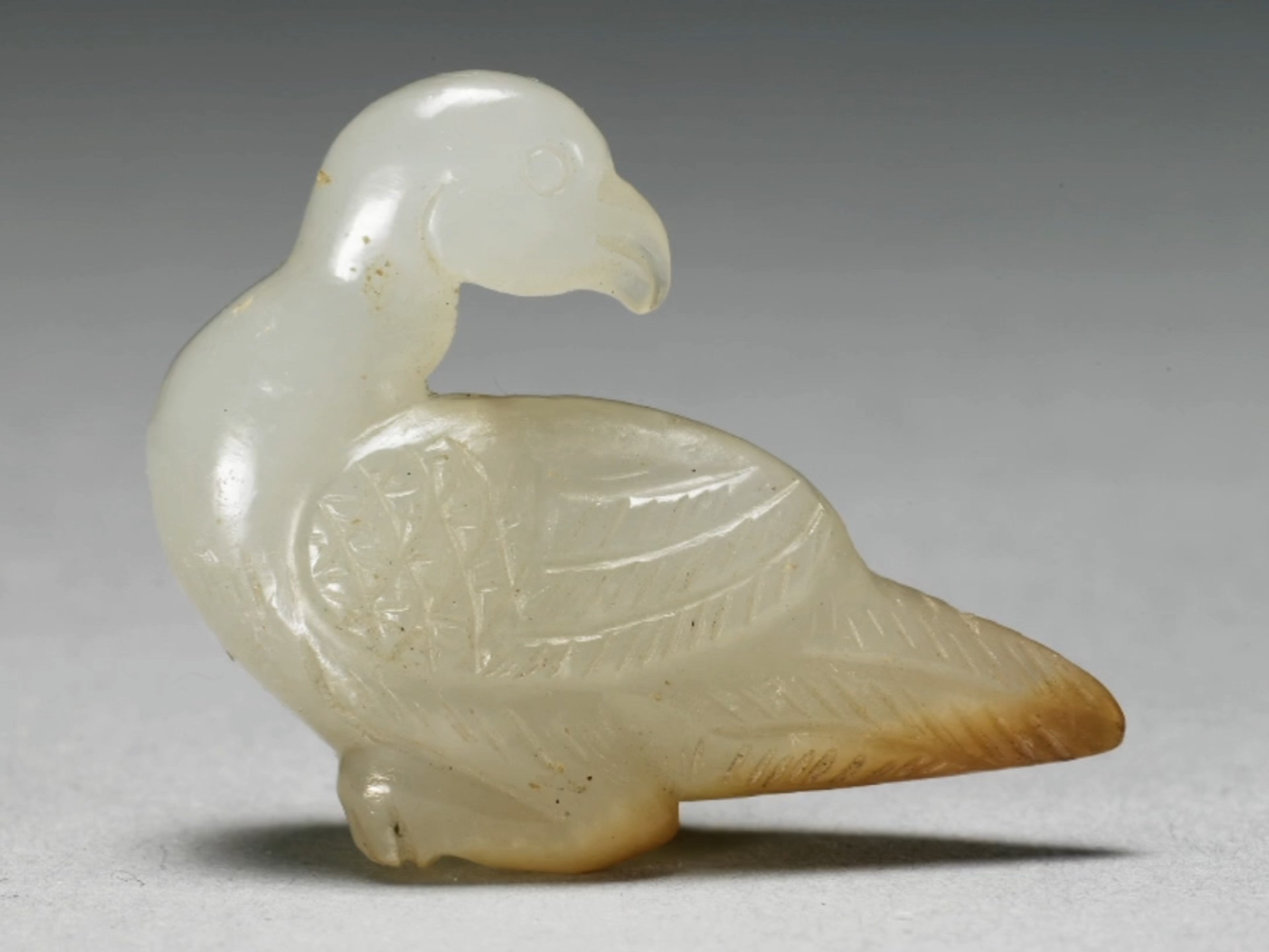 清代白玉鸟,作侧面,收翅,正回首