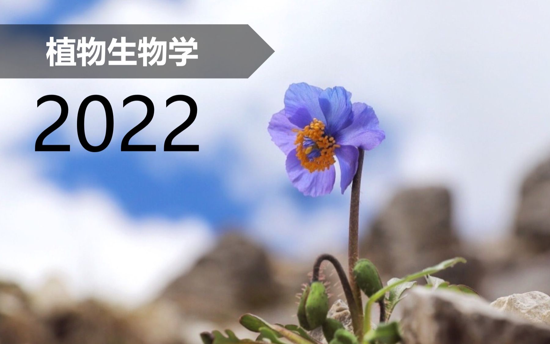 [图]【植物】植物生物学 2022