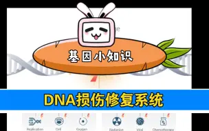 Download Video: 基因小知识 DNA损伤修复系统