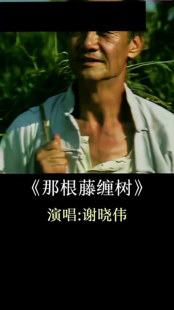 #经典影视歌曲《那根藤缠树》#歌手那洪亮深情浓厚柔情的歌声让人陶醉百听不厌!哔哩哔哩bilibili