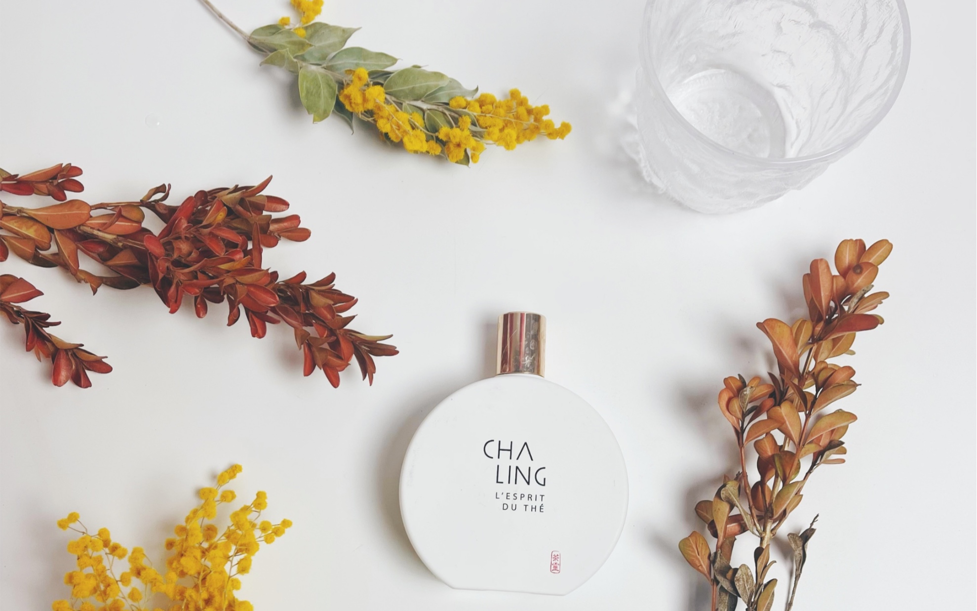 活动作品一款中法混血茶灵香水与茶树精油