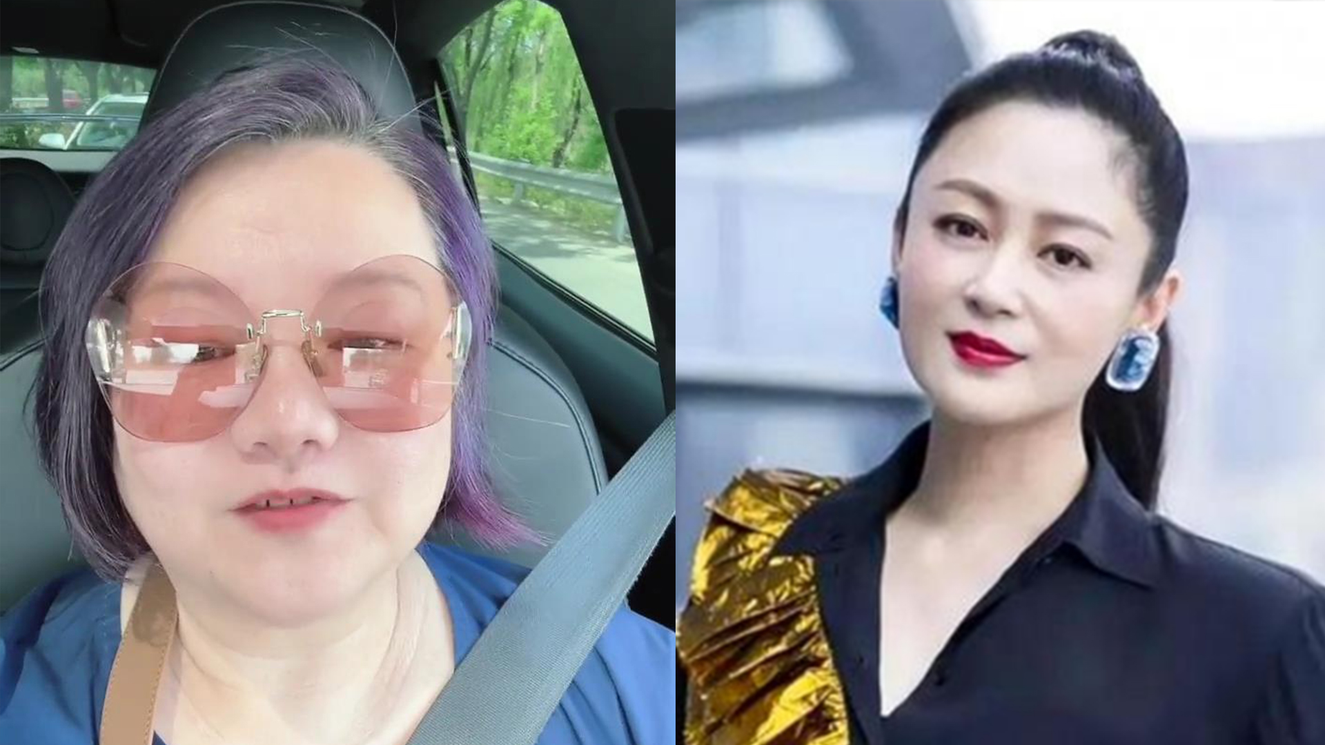 陈凯歌前妻洪晃老得不像样,头发花白身材臃肿,和陈红没法儿比