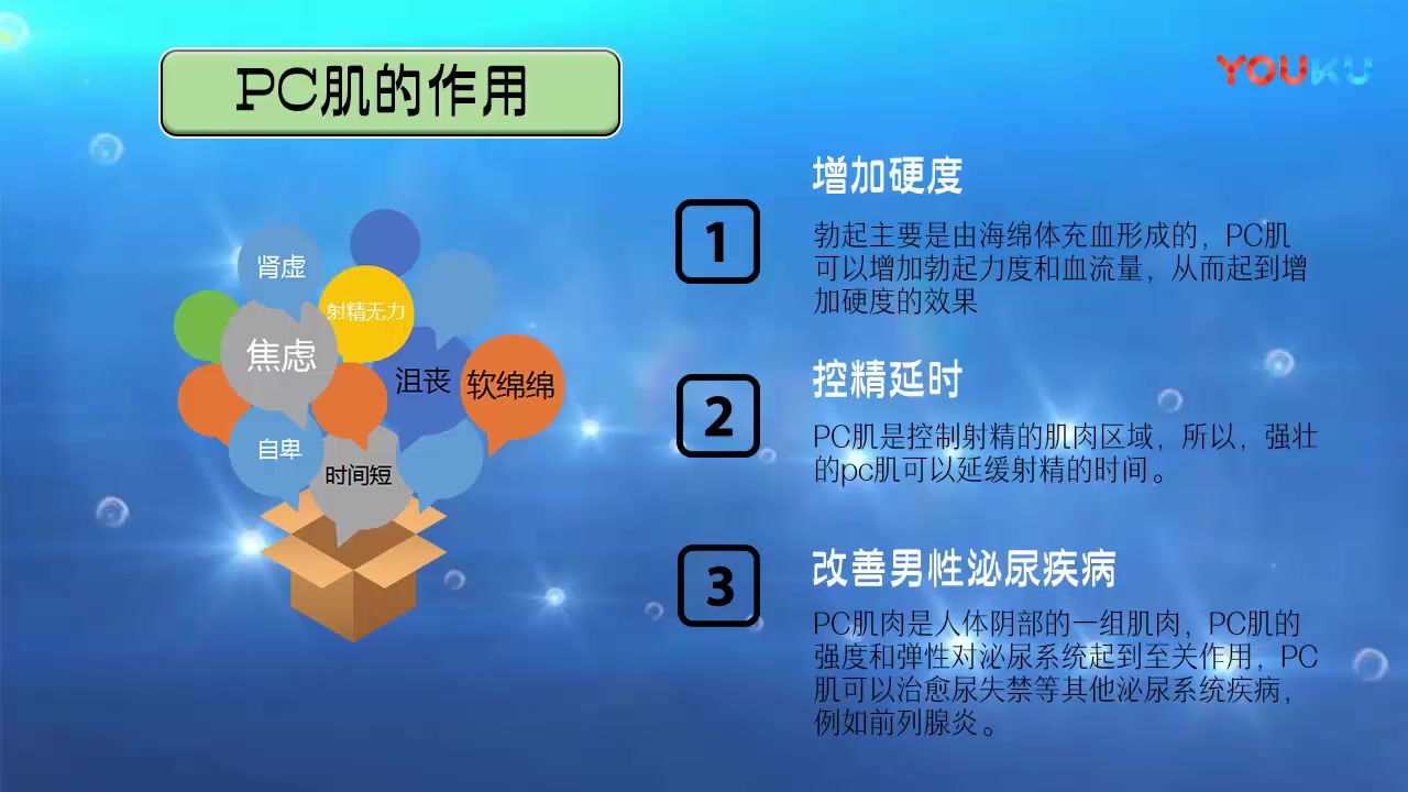 渐进式延时训练pc肌锻炼方法指导【辰威锻炼手册】哔哩哔哩bilibili