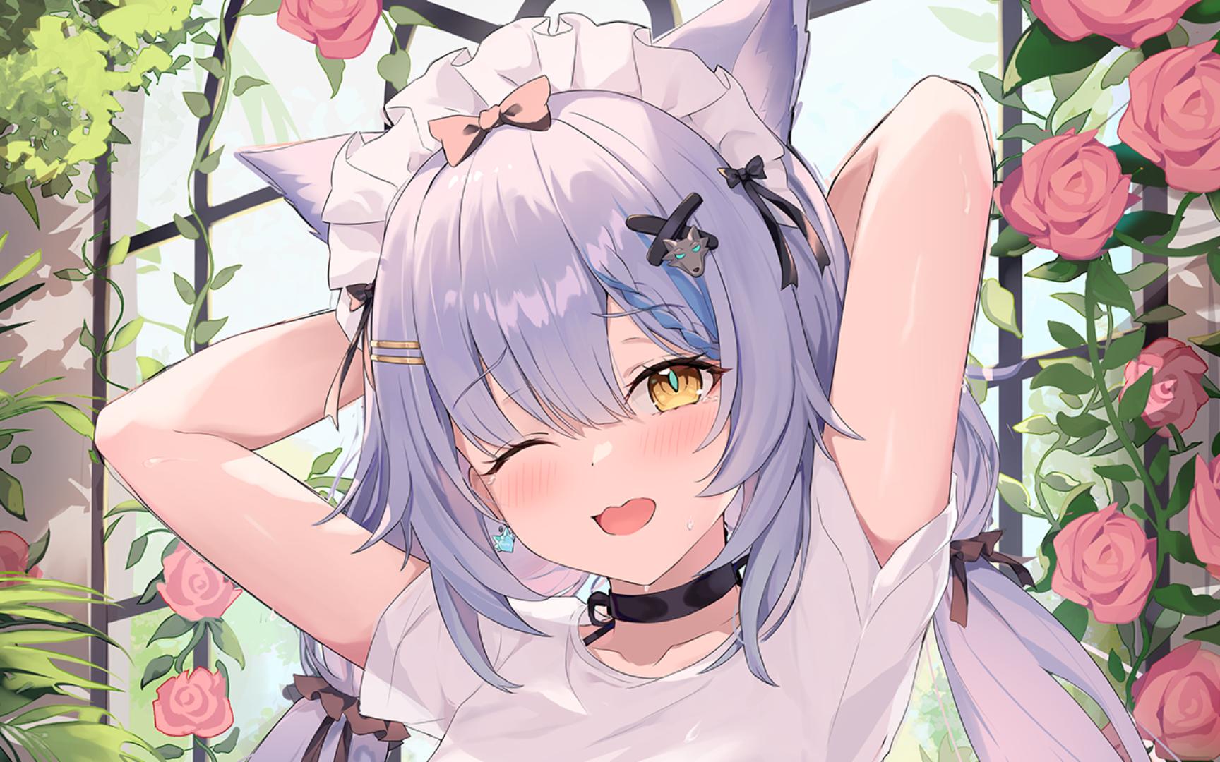 艾尔莎收藏集图片一览