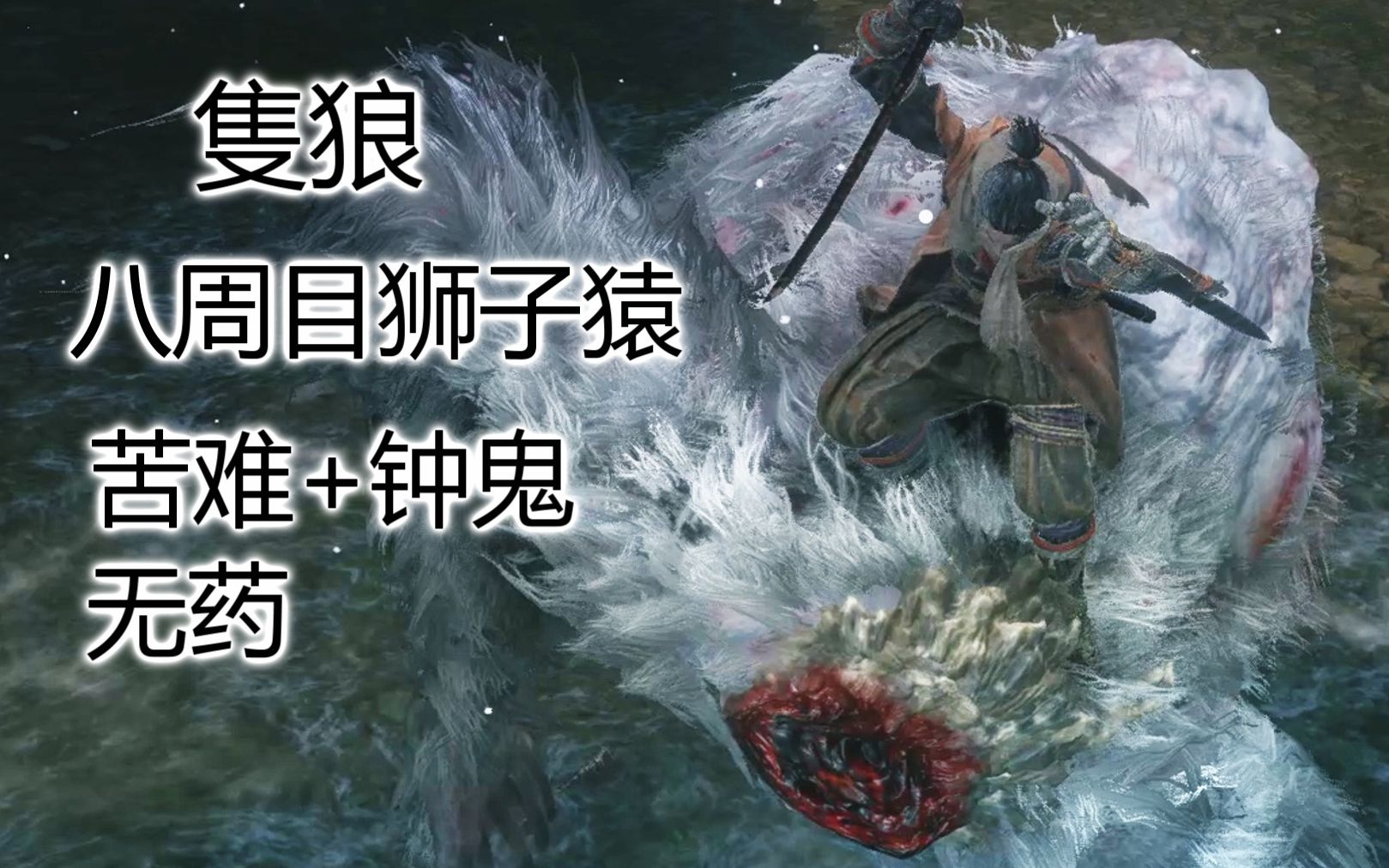 【只狼】二次猿警告!