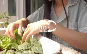 Download Video: pland 20230529中字 第一次挑战茄子料理的日常，茄子比想象中还要轻，还有刺，我想一个一个的挑战我不喜欢的食材哈哈哈