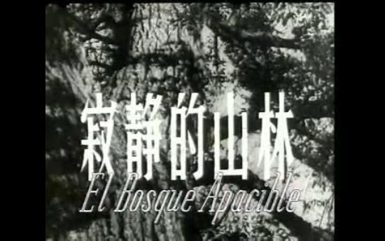 [图]寂静的山林 朱文顺执导 反特题材剧情片 王心刚、浦克主演 1957年