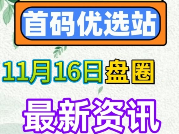 2024年11月16日|首码资讯:任客来、涂山、超级链接、锚豆阅读、绿康源品、全民剧点、熊猫大亨、玖玖汇选、剧好省、猎人来了等哔哩哔哩bilibili