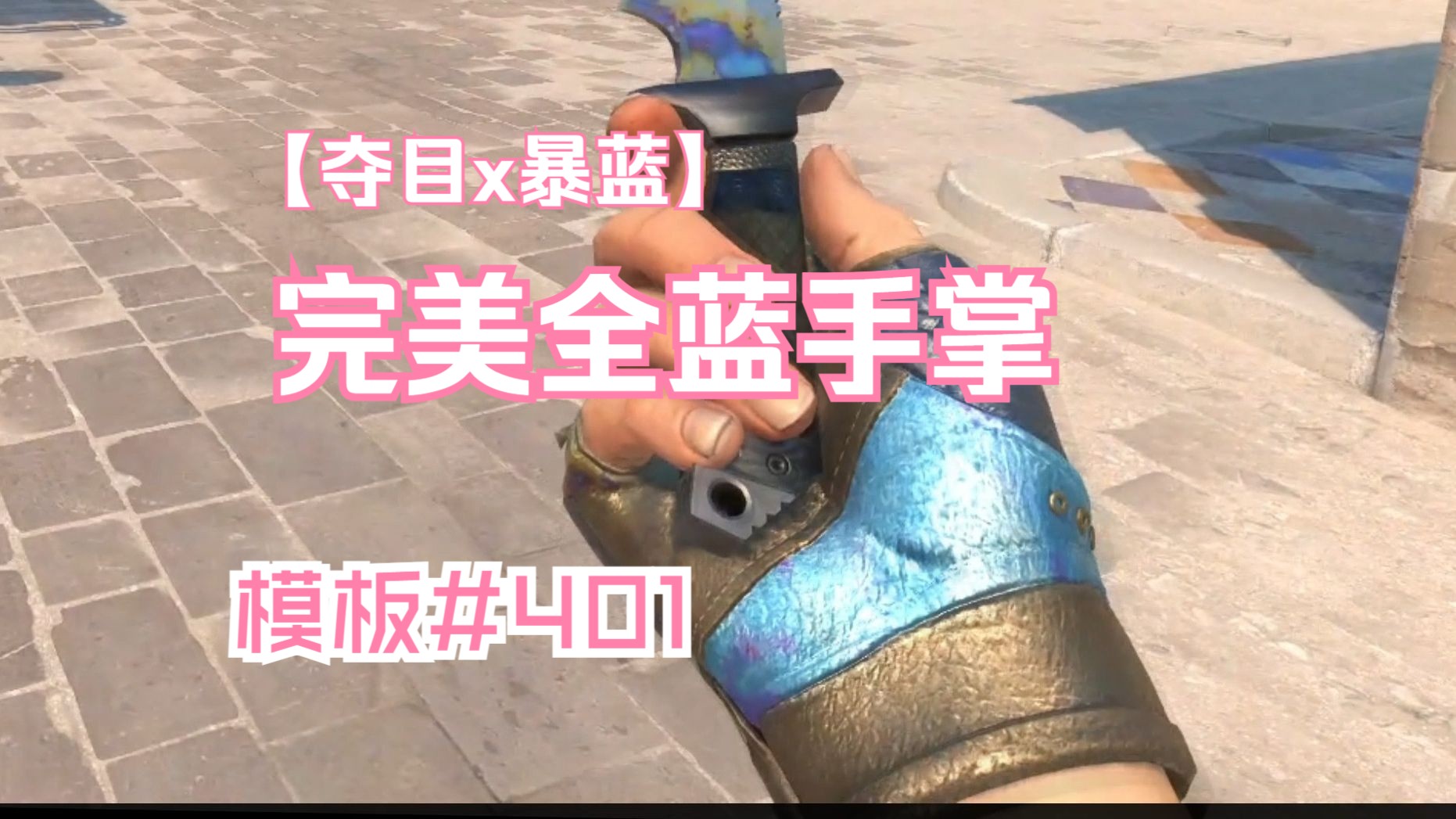 淬火完美全蓝手掌,虎口全蓝#401《zywoo军火铺》第三期3-5