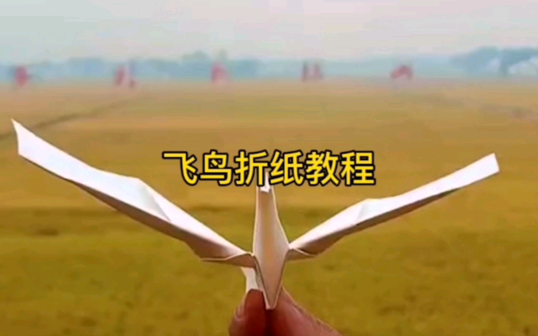 飞鸟折纸教程,创意手工折纸