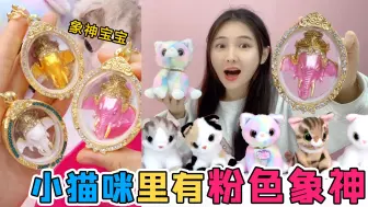 Скачать видео: 彩虹猫里有“粉色象神”！戴它睡觉能见到象神宝宝，真能找到吗？