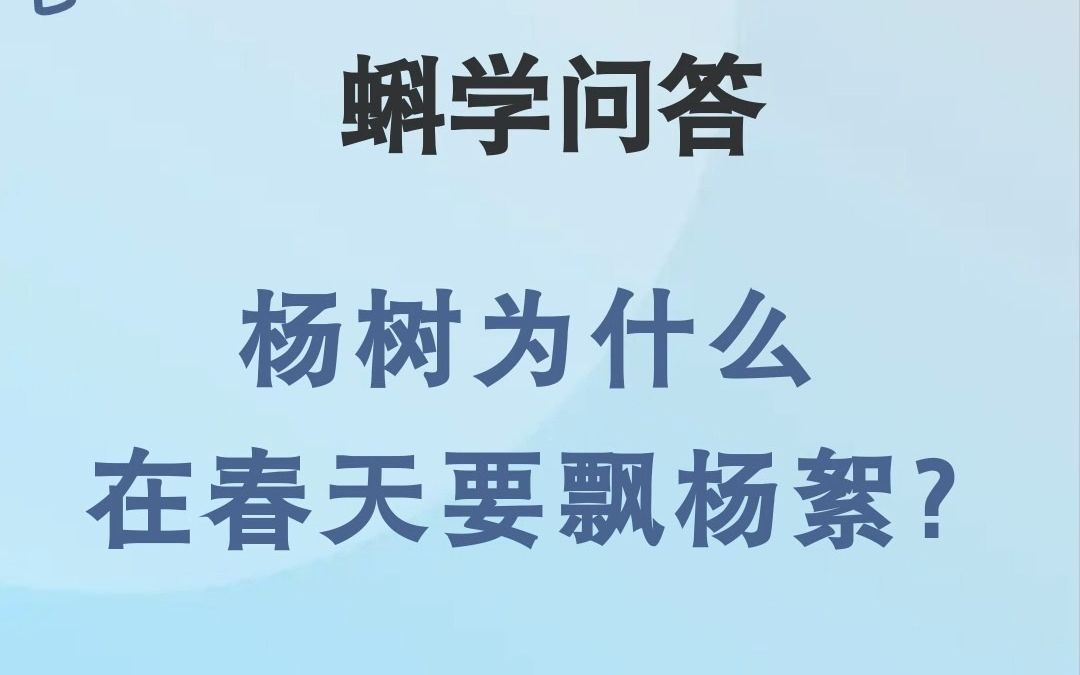 蝌学问答|杨树为什么在春天要飘杨絮?哔哩哔哩bilibili