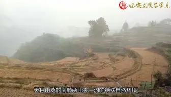 【龙缘农家乐】 农家乐旅游，农家乐烧烤，大自然农家乐