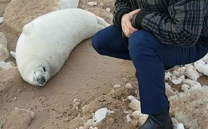 [图]不可以摸小海豹！啊呜！