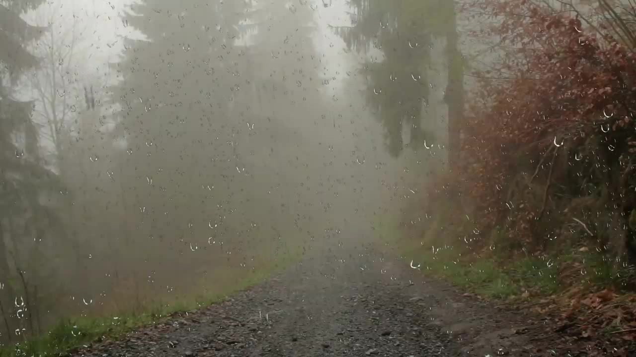 在雨声中入睡,自然音效哔哩哔哩bilibili