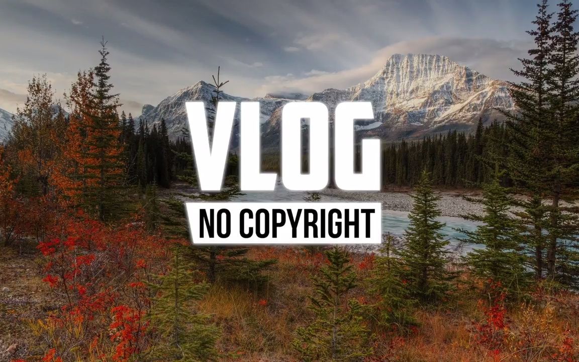 Not The King  Take Her Hand (Vlog No Copyright Music)哔哩哔哩bilibili